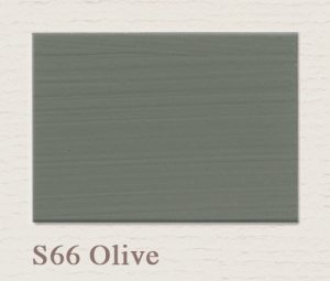 S66 Olive